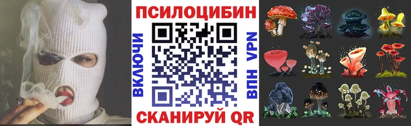 ОМГ ОМГ ТОР  Тайга  Галлюциногенные грибы ЛСД  наркотики 